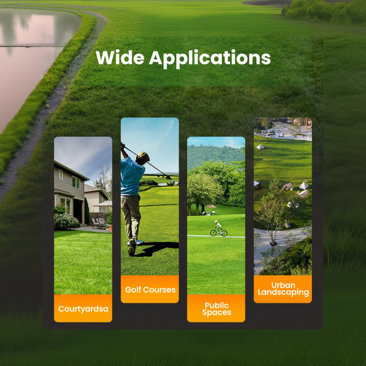 ALL SEASONS EVERGREEN GRASS SEEDS [BUY 1 GET 1 FREE]